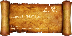 Ligeti Nétus névjegykártya